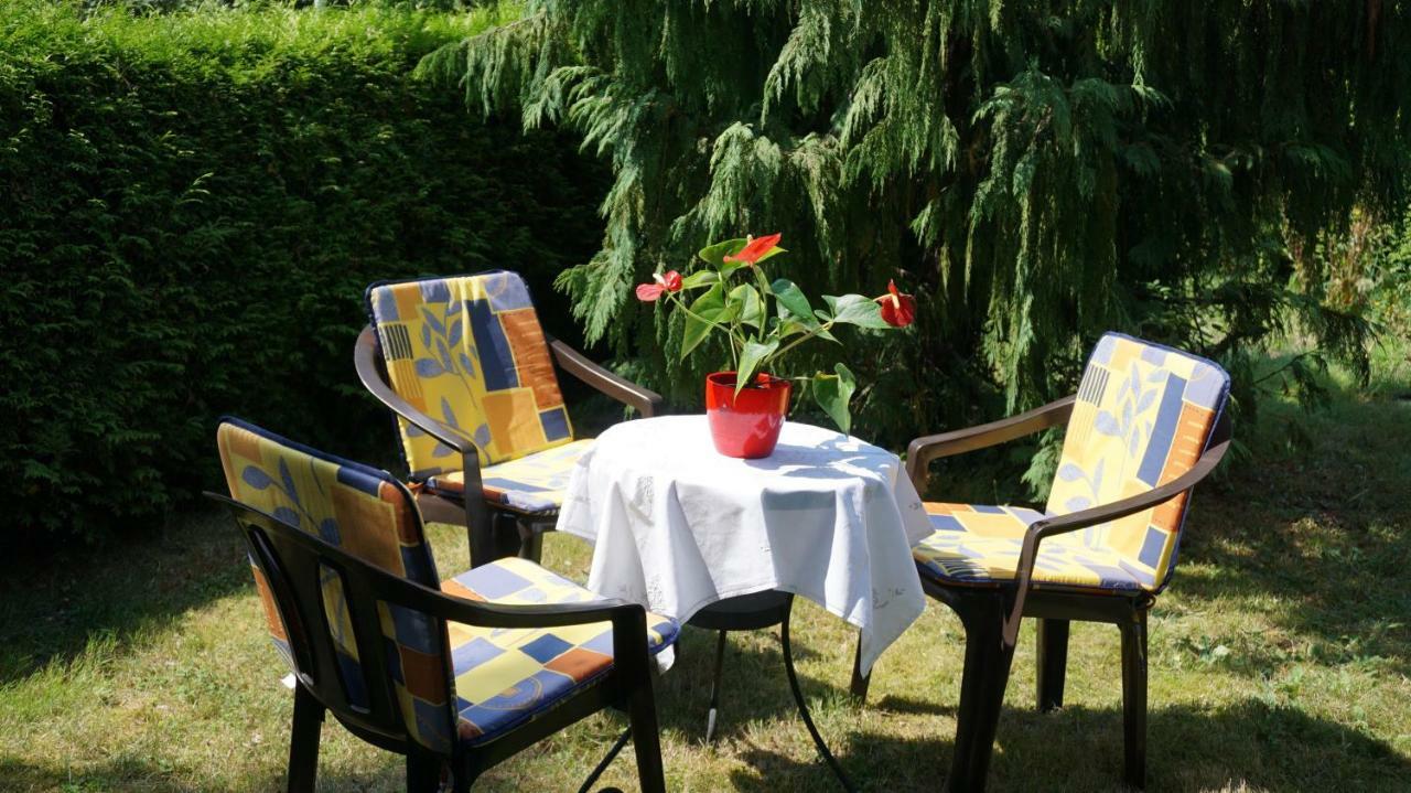 Gaestezimmer Charlotte Drezno Zewnętrze zdjęcie